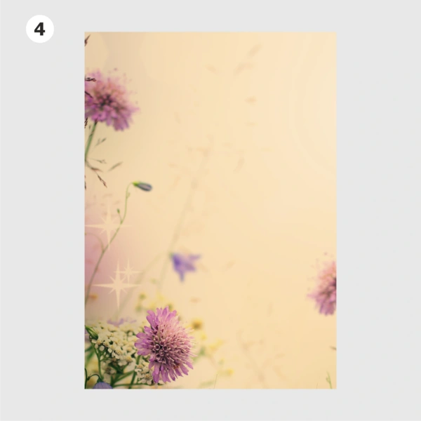  Background 4